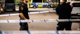 Misstänkt för Malmömord gripen