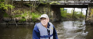 De vaktar fåglarna i Båven