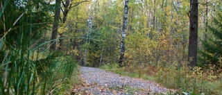Vilka regler gäller i skogen?