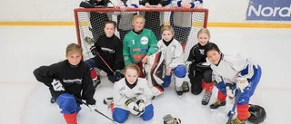 Kunskapsskolan till SM-final