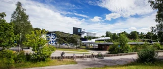 ”Vi har en och samma entré året om”