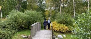 Bostadsområde ska rustas upp: "Förutsättningar för en hemtrevlig boendemiljö"