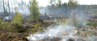 Hemvärnet lär sig bekämpa skogsbränder