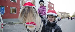 Bildspel: Välbesökt och kall julmarknad