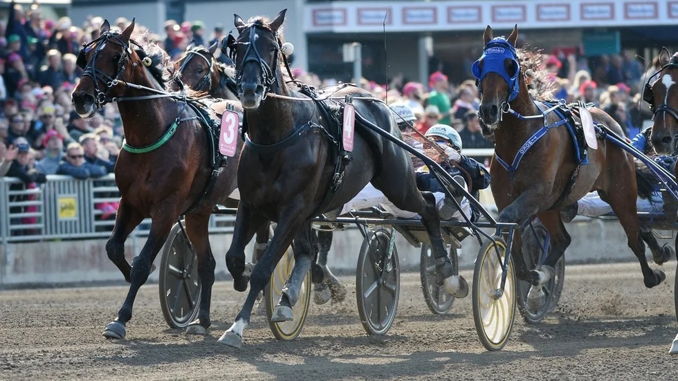 Nuncio och svenske kusken Örjan Kihlström vann Elitloppet förra året.