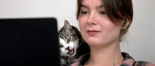 Därför bör fribeloppet avskaffas för gott