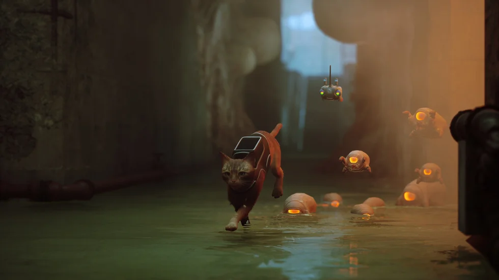 "Stray" är mest populärt på Steam i år. Pressbild.