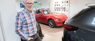 Lokala bilhandlare nöjda med fjolåret