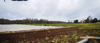 Reimersholm flyttar till Hornsvägen