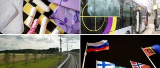 Unik grafik: Motionerna som lämnats in i Piteå under mandatperioden • Oppositionen kritisk: Svårt få bifall på motioner från "fel" håll