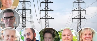 Så tycker politikerna: ✓"Måste komma till mer produktion i söder" ✓"Elområdena fyller en viktig funktion" ✓"Återstarta Ringhals"