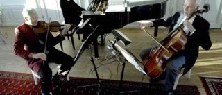 Träffsäker herrgårdsmusik på slottet