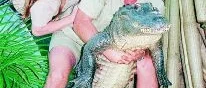 Krokodiljägaren  
Steve Irwin död