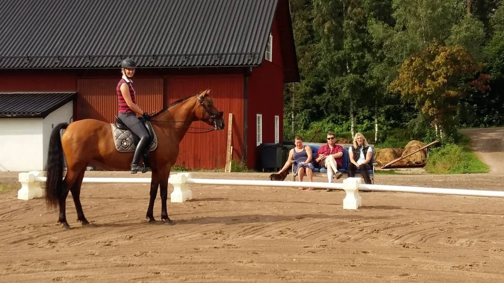 Läger. Jenny Bengtsson rider på hästen Distinguida.