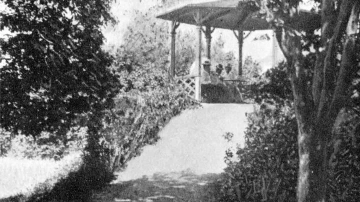 Stadsparken. På kulle, som i dag kallas för lektor Berlins kulle, satt Carl-Erhard ofta och läste och filosoferade.