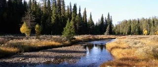Ny nationalpark närmar sig