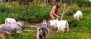 I bara mässingen