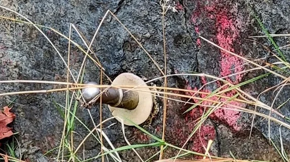 "Här och där på mina promenader ser jag en slags små “spakar” som sitter fast på bergssidor eller huskroppar och jag kan för mitt liv inte fatta vad de är till för". Krönikören har inte vågat ställa frågan i någon grupp på facebook.