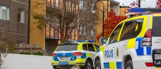 En misstänkt för hets mot folkgrupp och olaga hot efter bråk • Polisen: "Hotat verbalt och kastat sten"
