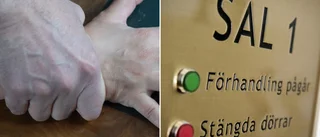 26-årig man inför rätta för flera våldtäkter • Höll fast offret när han tvingade sig på henne