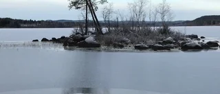 Läsarbilden: Nyis                    