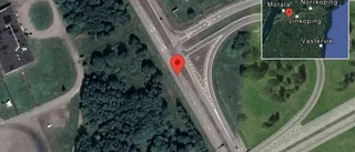 Älg på vägen