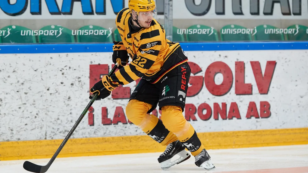 Jonathan Johnsson blev stor matchvinnare när Skellefteå kvitterade till 1–1 i matcher i SM-kvartsfinalen mot Rögle.