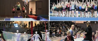 Visbygymnasterna firade in våren med välbesökt uppvisning