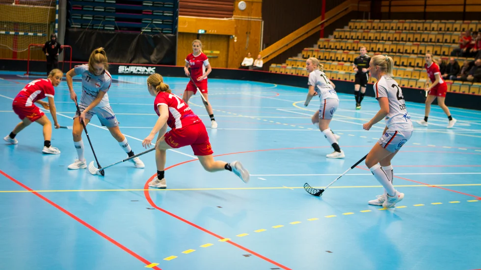FBC Katrineholm gjorde en fin insats i senior-DM. De tog sig ända till final, där det tyvärr tog stopp mot Telge SIBK.