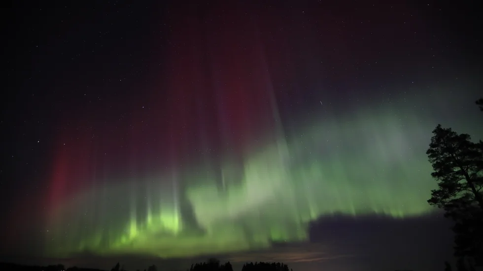 Norrsken vid midnatt norr om Svista i Uppsala kommun.