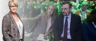 "Partiernas ledningar borde sluta en anständighetspakt"