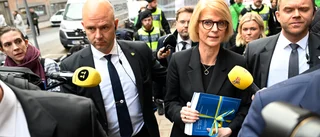 Valfläsket som stektes: Sparpengar och diesel