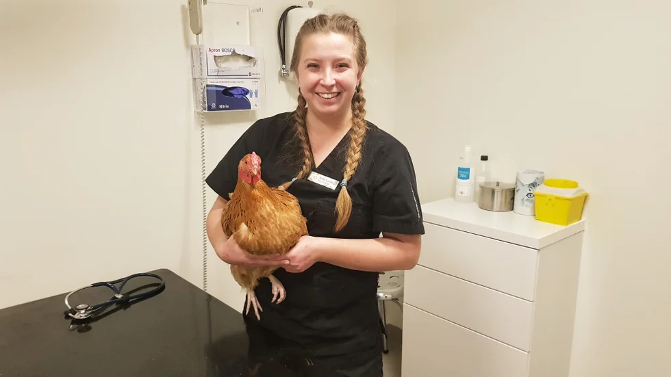 Distriktsveterinär Sofia Lovén hoppas få fler smådjur som patienter nu när hon och kollegan Linnea Wanler anställts. "Jag tycker att det är intressant med lite ovanligare djur", säger hon.