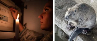 Kraftig sprängning – då försvann strömmen för 100-tals