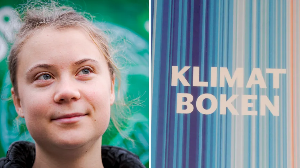 Greta Thunbergs "Klimatboken" delades ut till riksdagens ledamöter. "73 ledamöter från SD kom inte ut för att ta emot den", skriver insändarskribenten.