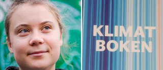 SD verkar inte alls vilja lära sig mer – jag håller med Greta och lyssnar på vetenskapen
