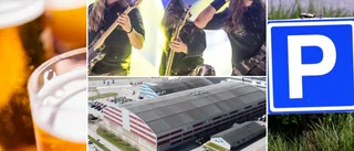 Här är allt du behöver veta inför Sabaton på Rosvalla