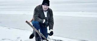 Fler frågor efter fiskanalysen