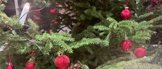 Grattis Ana Maria, Ingela och ni andra som vann i UNT:s julkalender!