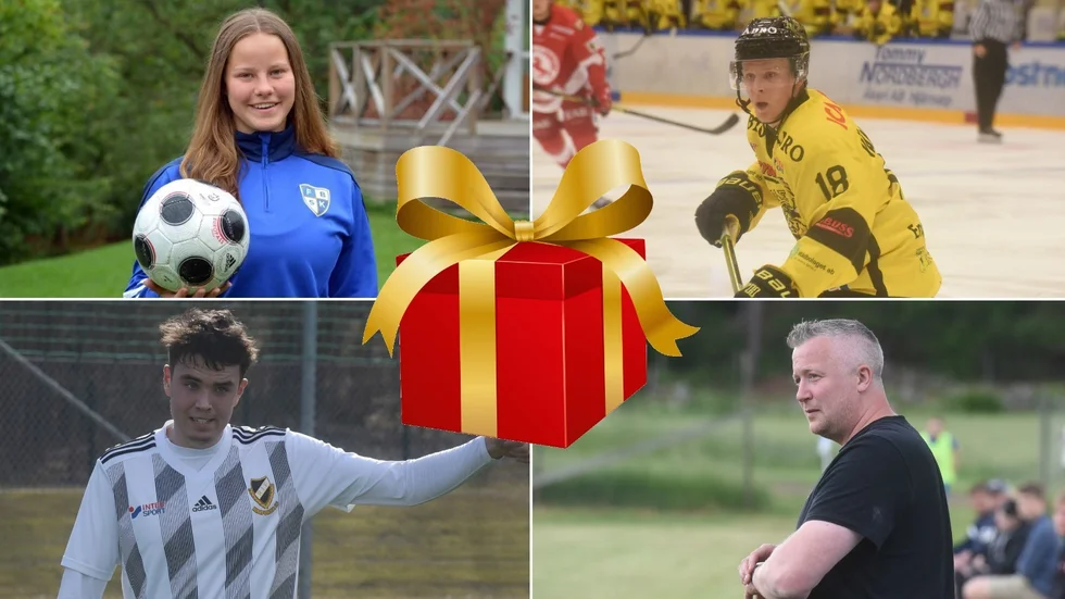 Louise Andersson, Ludvig Vännström, David Cederholm och Jesper Wahlström.
