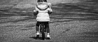 Mordförsöket i Skellefteå hade kunnat hindras • Varför ska barn ha sämre skydd än vad djur har?