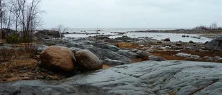 Framtiden-kärnkraftsfritt