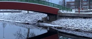 Läsarbilden                     