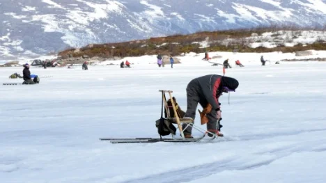 Snart kommer en känsla av vår att nå norrbottningarna, lovar meteorologerna på SMHI.