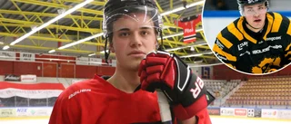 Direkt från allsvenskan – SHL-meriterade backen förstärker Piteå Hockey: "Perfekt komma in i hetluften direkt"