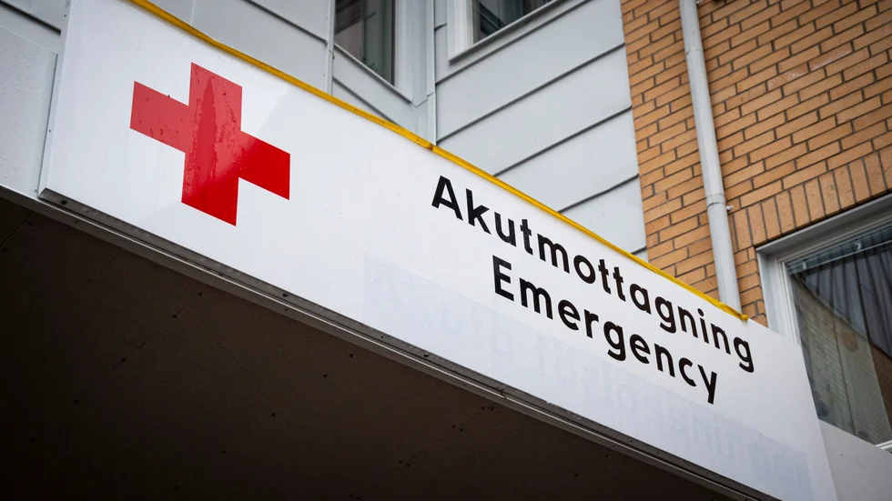 Vid djupa kattbett ska man söka vård genast, antingen via hälsocentralen eller en jouröppen akutmottagning. (Arkivbild)
