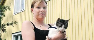 Obehaglig hyresgäst under golvet