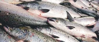 Steget närmare fiskestadga