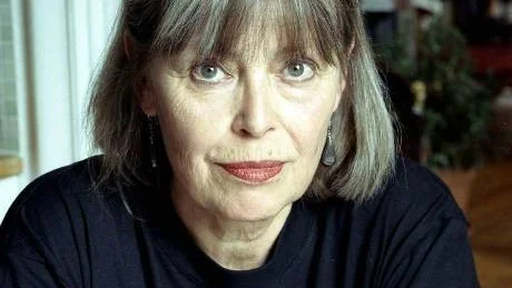 Agneta Pleijel, författare.