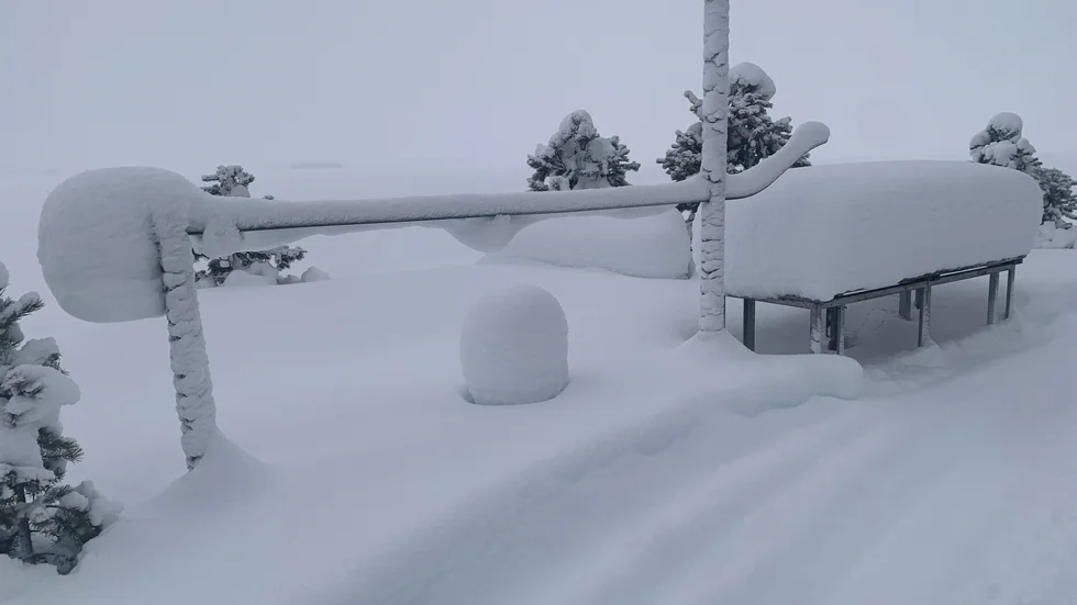 Dagens läsarbild.